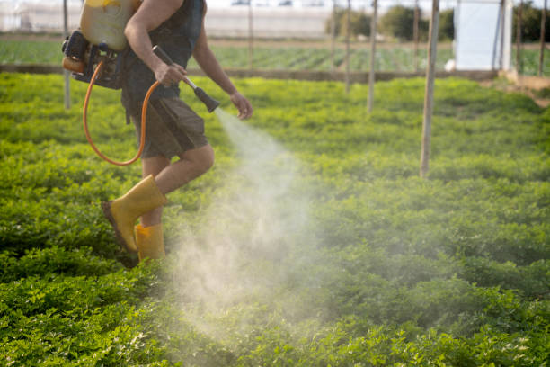Best Best Pest Control Companies  in Chapel Hill, TN