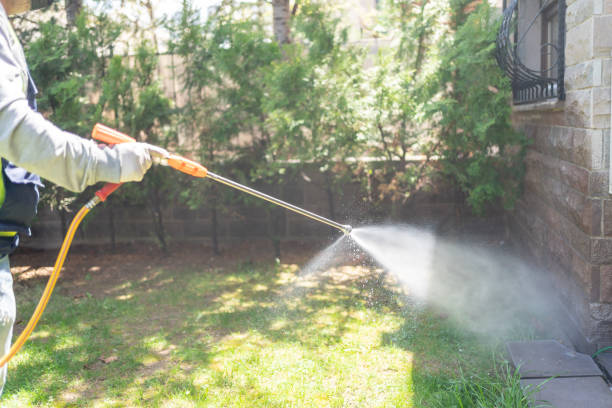 Pest Prevention Services in Chapel Hill, TN