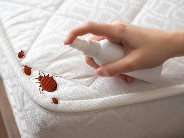 Best Affordable Pest Control Services  in Chapel Hill, TN