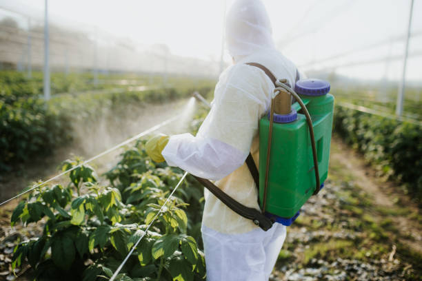 Best Pest Inspection Near Me  in Chapel Hill, TN